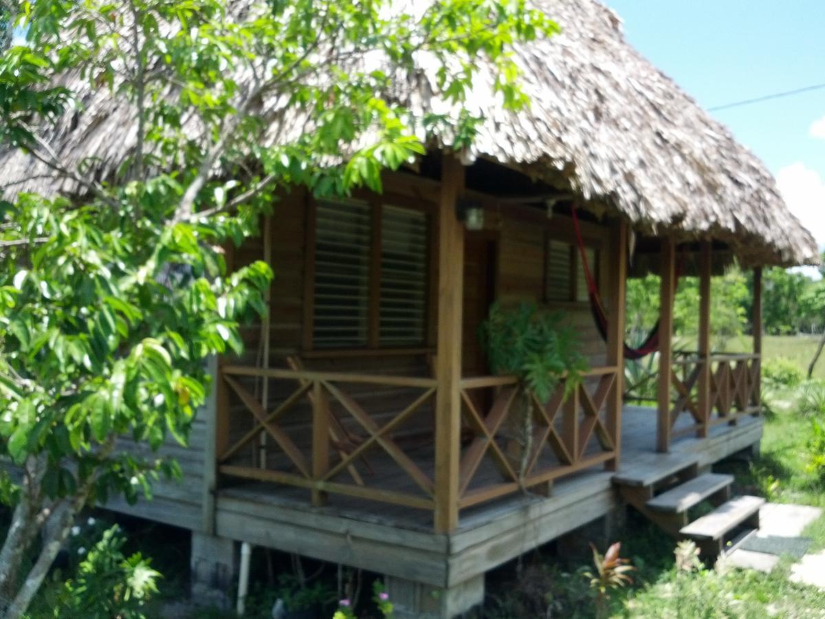 Nature Lodge