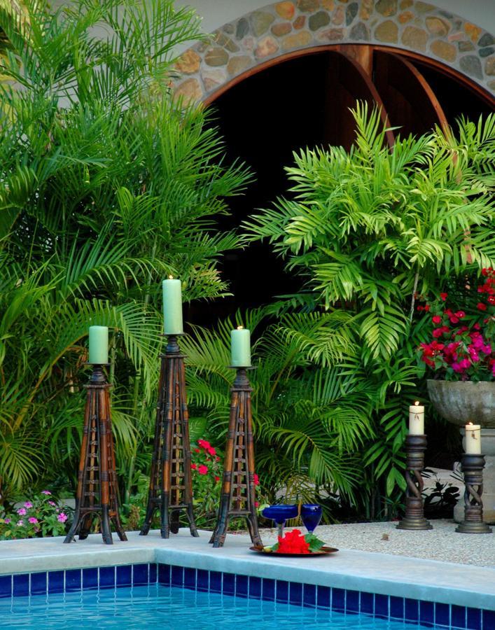 Almond Tree Hotel Corozal