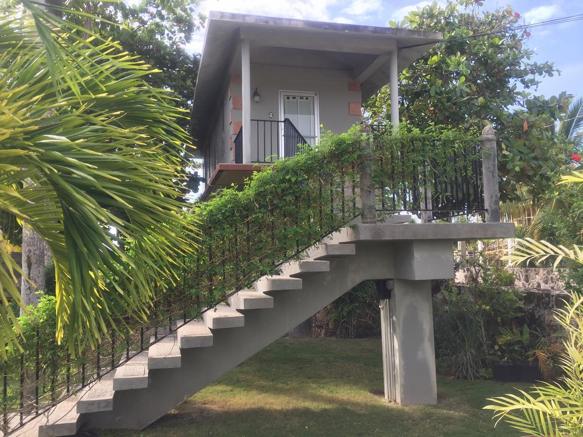 Almond Tree Hotel Corozal