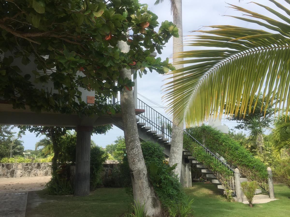 Almond Tree 5* Corozal