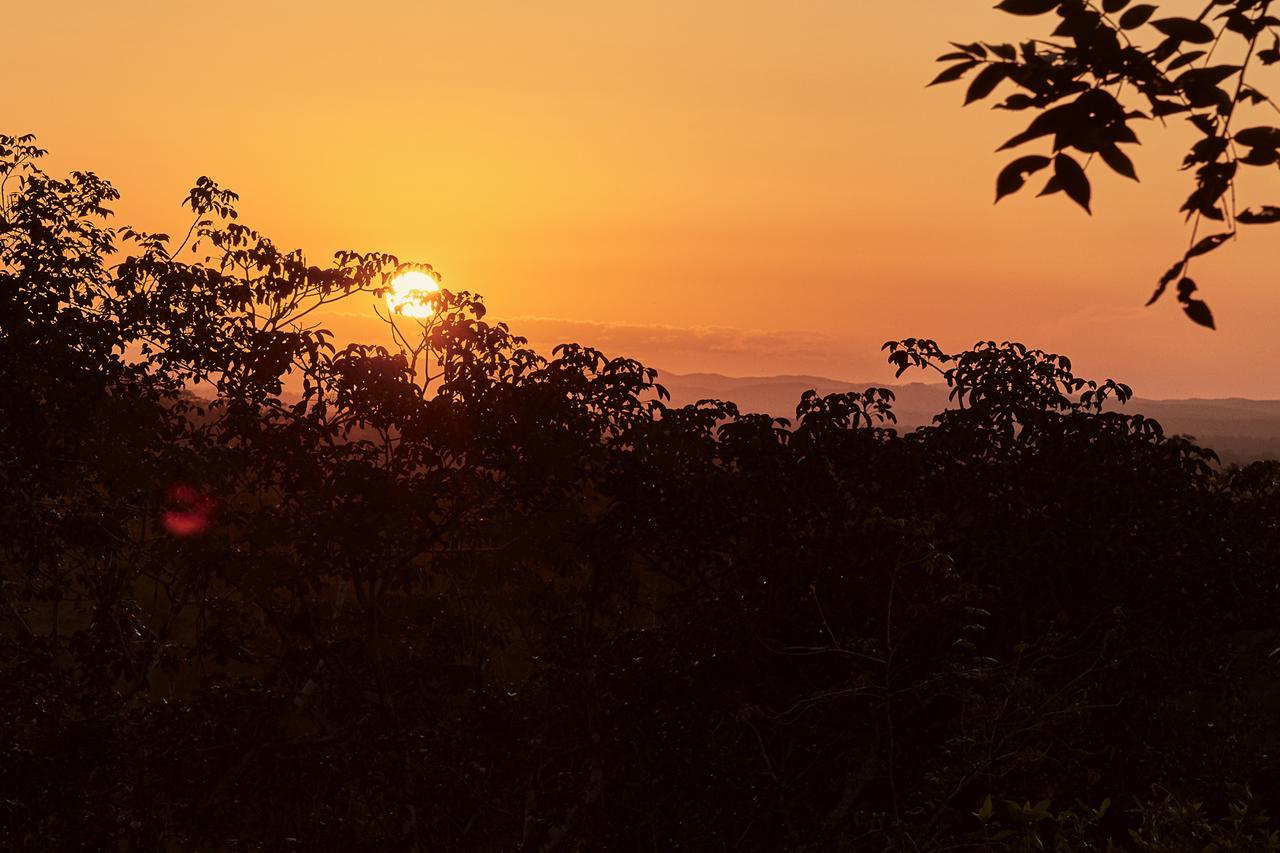 Amber Sunset Jungle Hotel San Ignacio