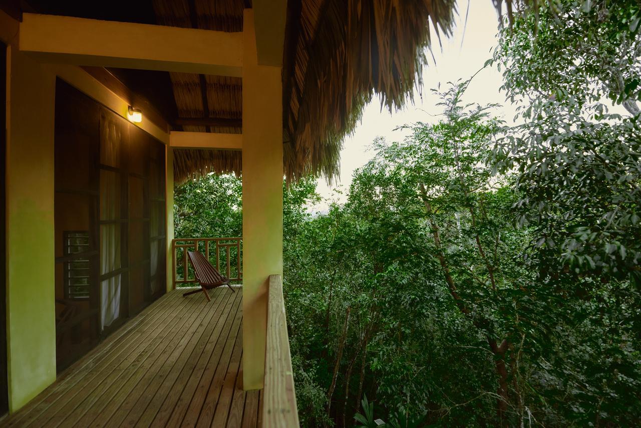 Hotel Amber Sunset Jungle