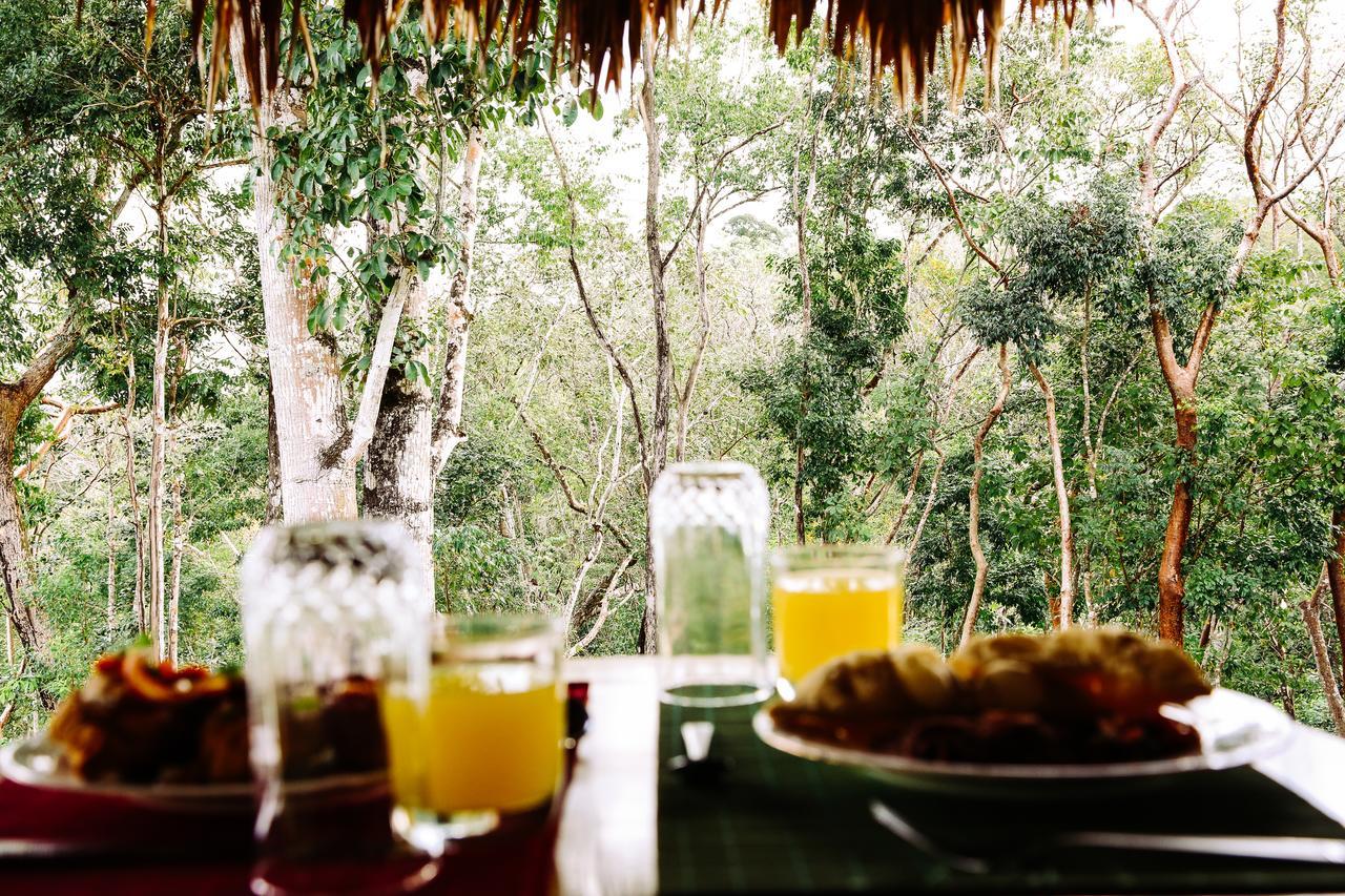 Amber Sunset Jungle Hotel San Ignacio