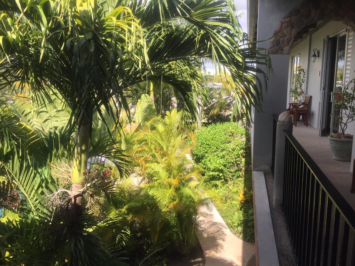 Hotel Almond Tree