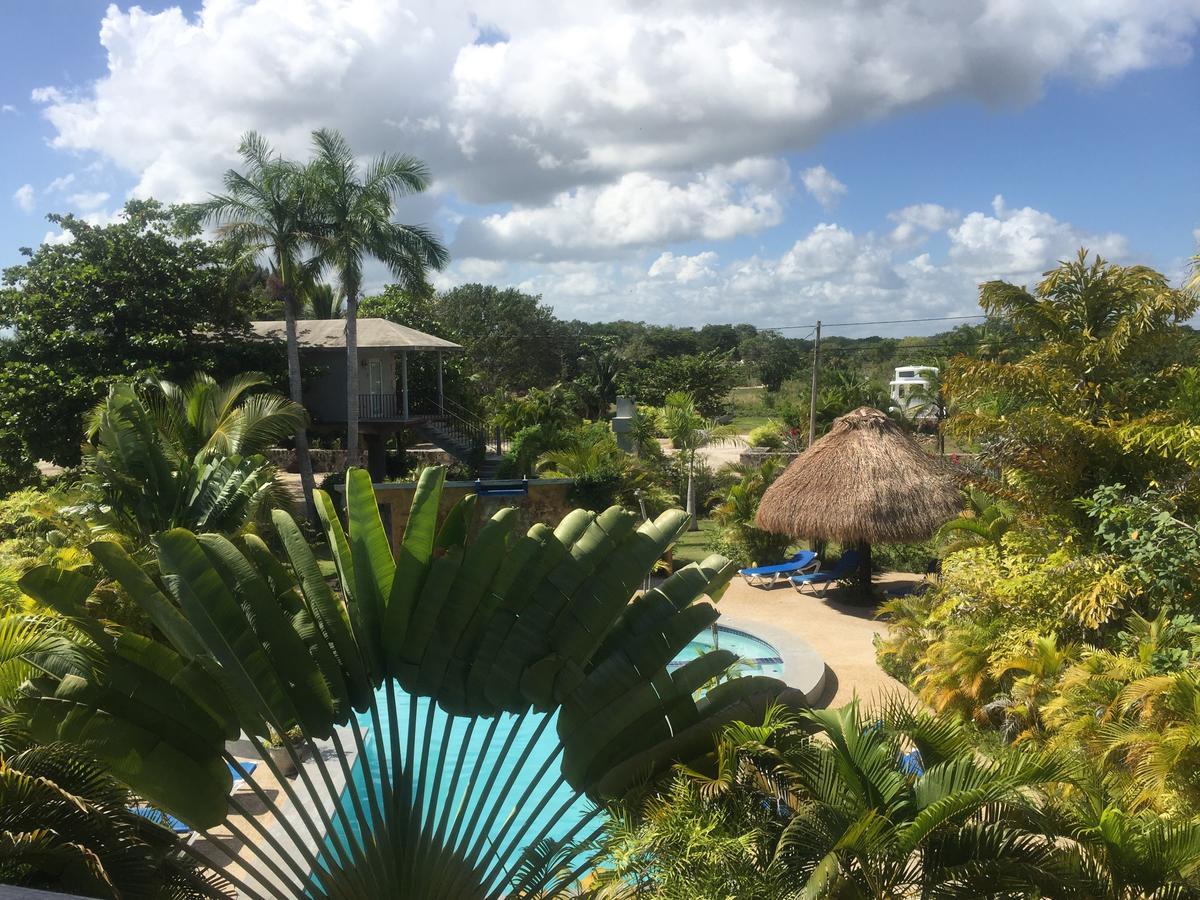 Hotel Almond Tree Corozal
