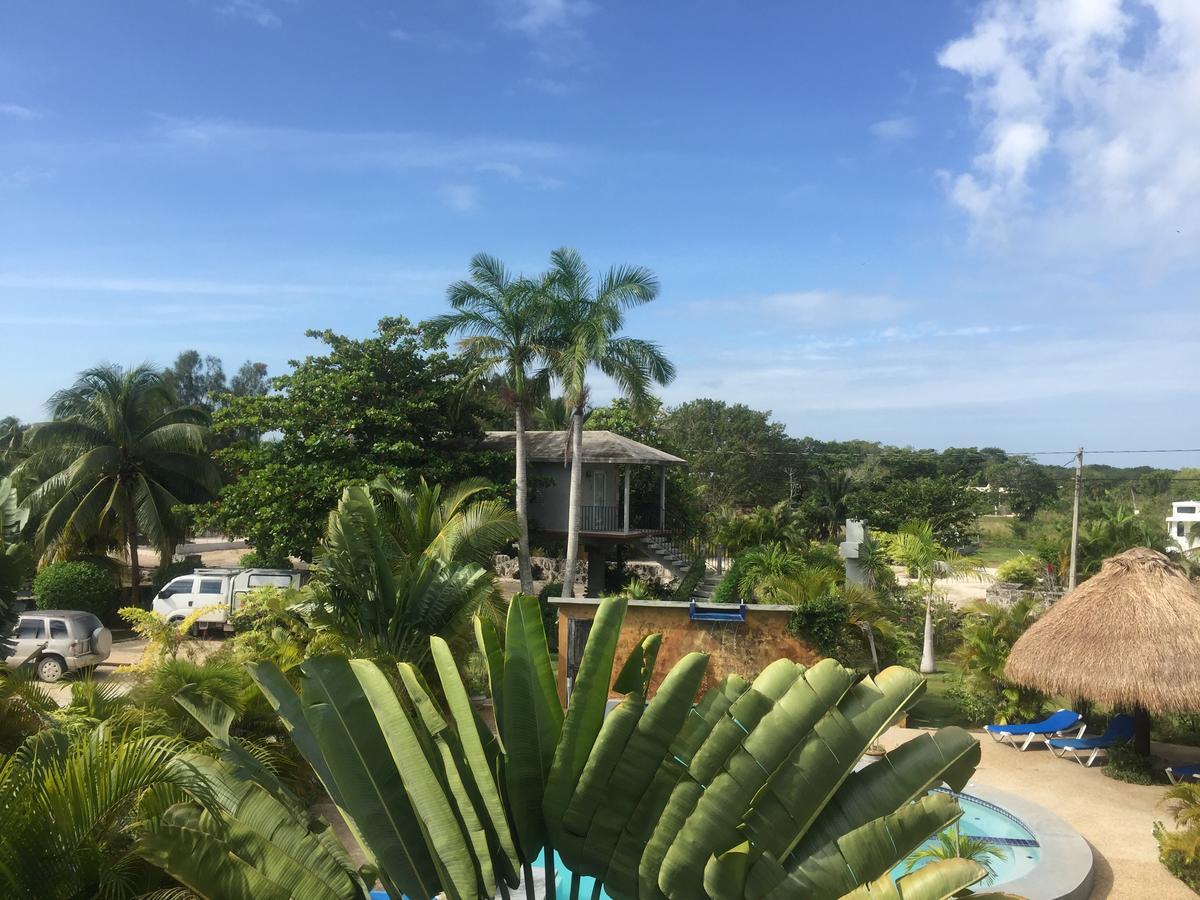 Hotel Almond Tree