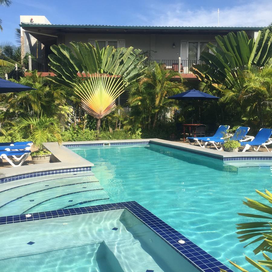 Almond Tree Hotel 5*