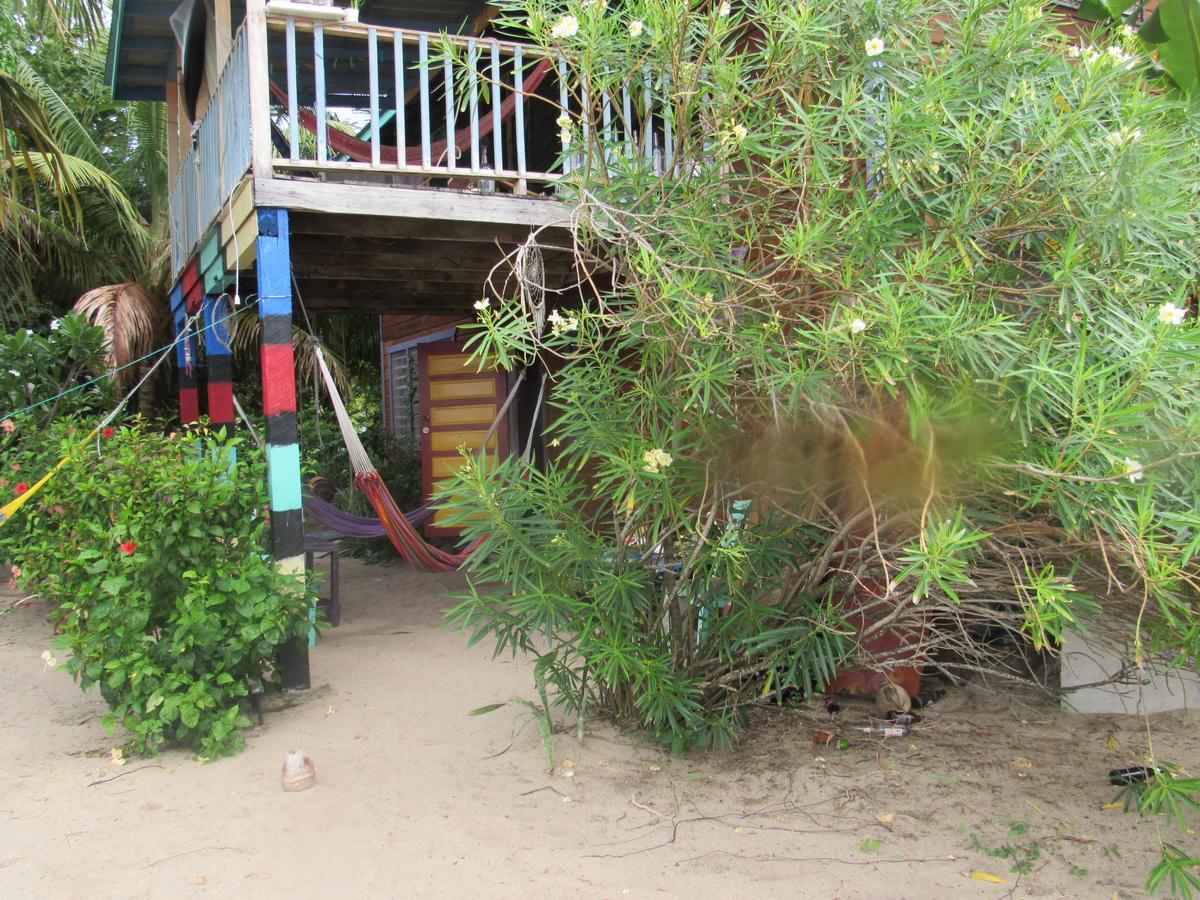Anda Di Hows Hostel Placencia