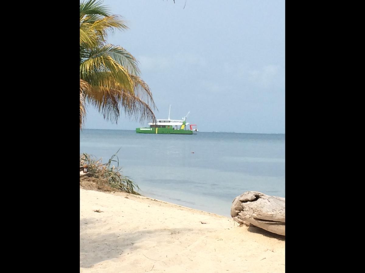 Bamboo Belize Luxury tent