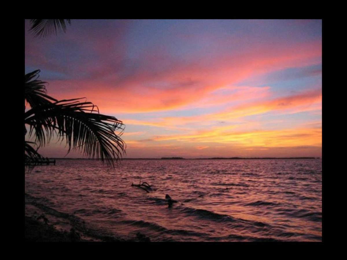 Luxury tent Bamboo Belize Dangriga