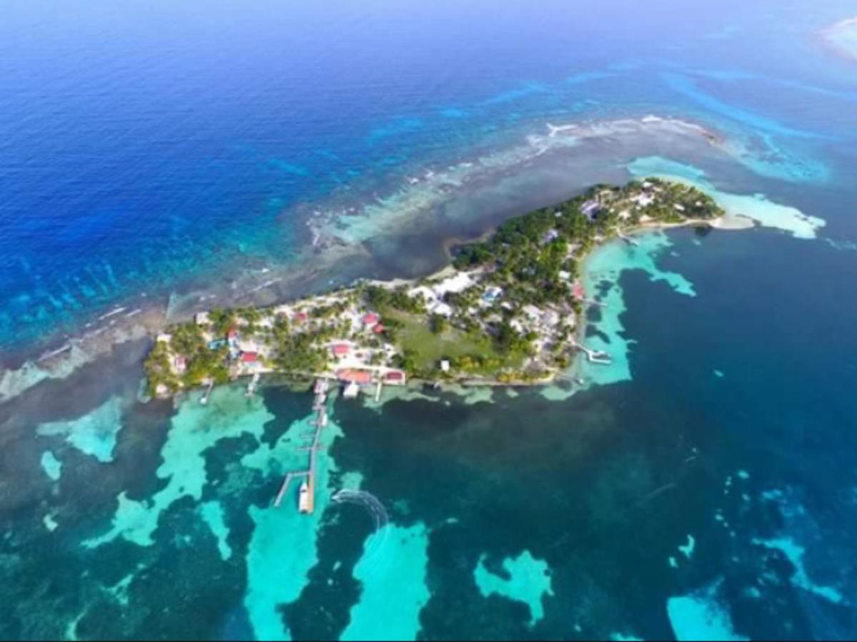 Bamboo Belize 2*