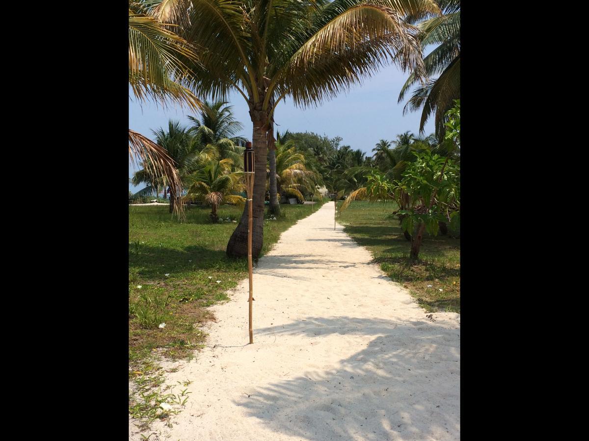 Bamboo Belize Luxury tent