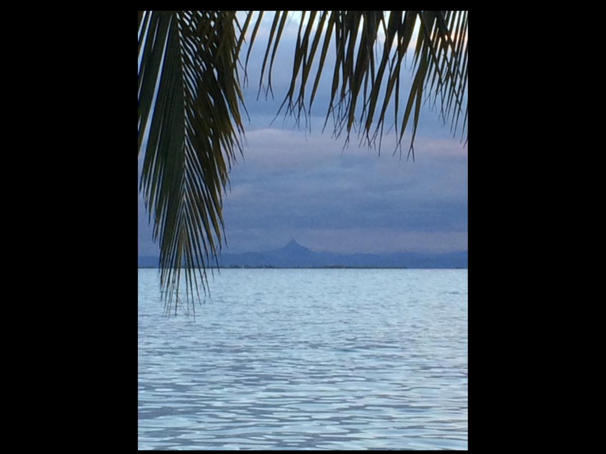 Bamboo Belize Dangriga