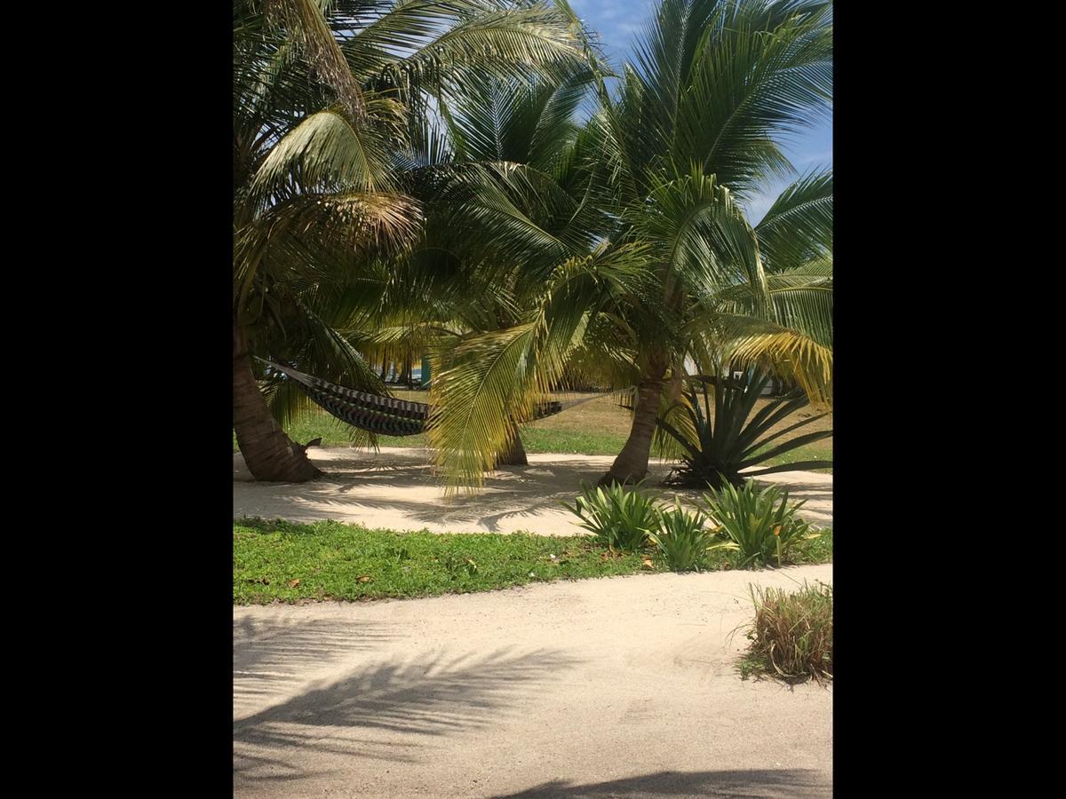 Bamboo Belize 2*