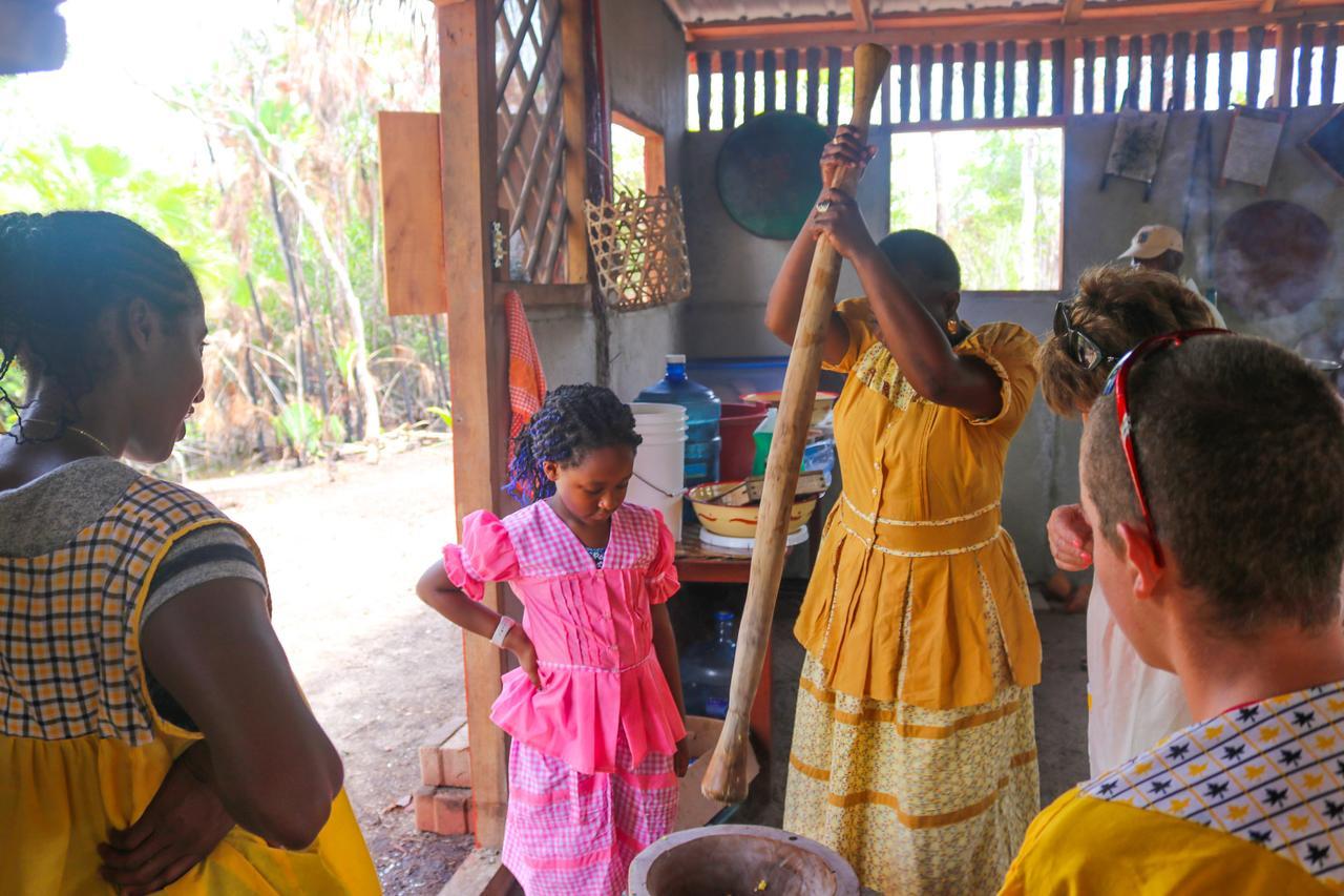 Palmento Grove Garifuna Eco-cultural & Healing Institute Bed & Breakfast Hopkins
