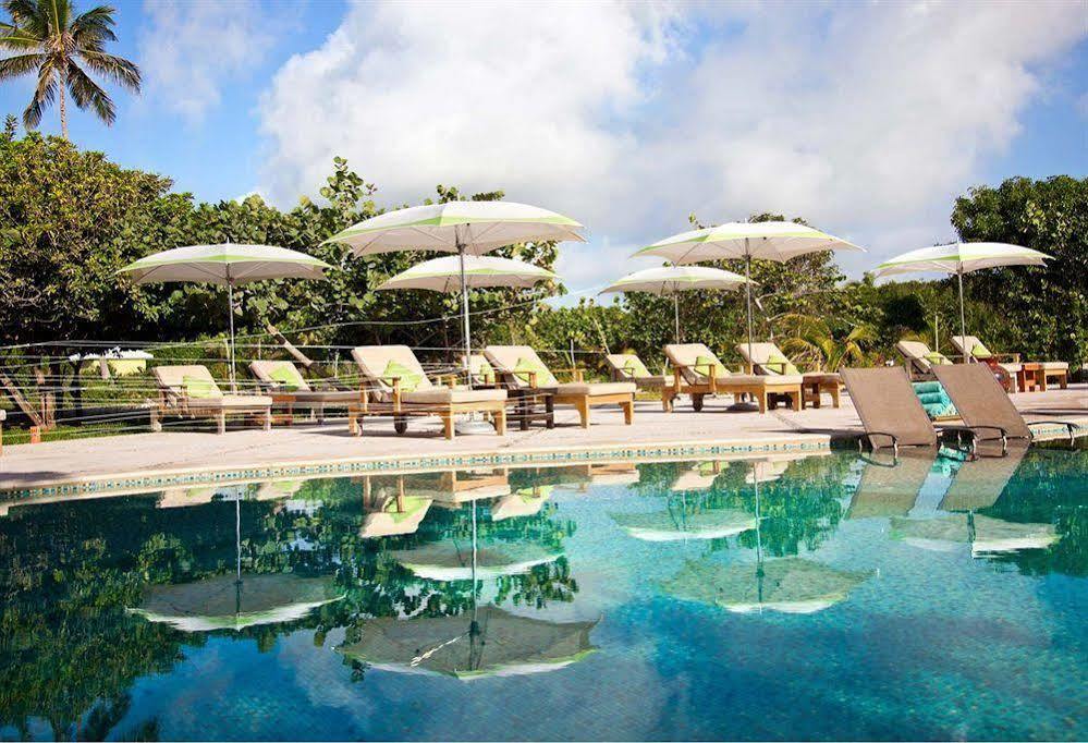 Matachica & (adults Only) Hotel San Pedro (Ambergris Caye)
