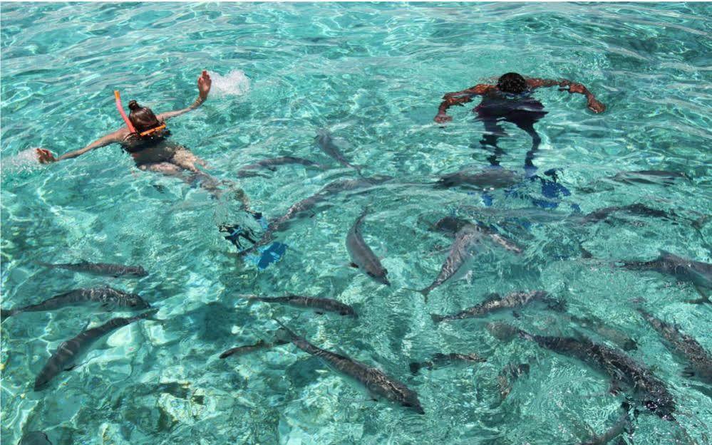 Hotel Matachica & (adults Only)