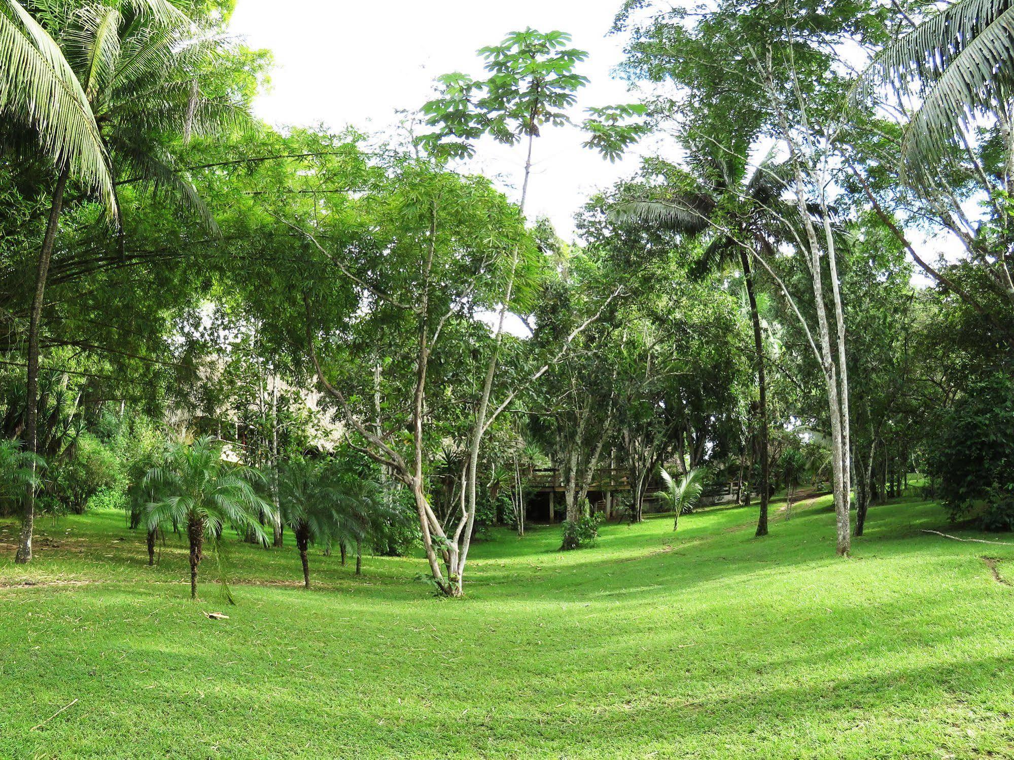 Crystal Paradise 3* San Ignacio
