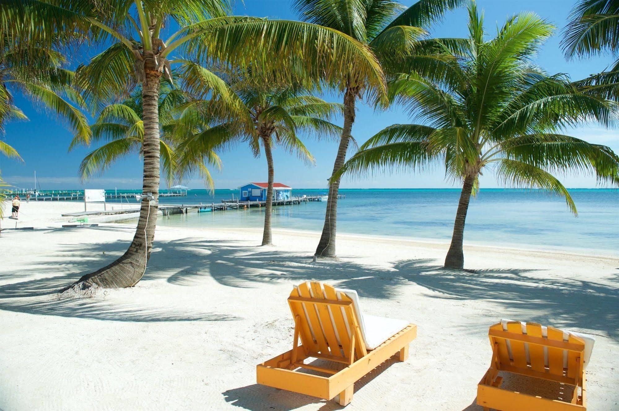 Exotic Caye