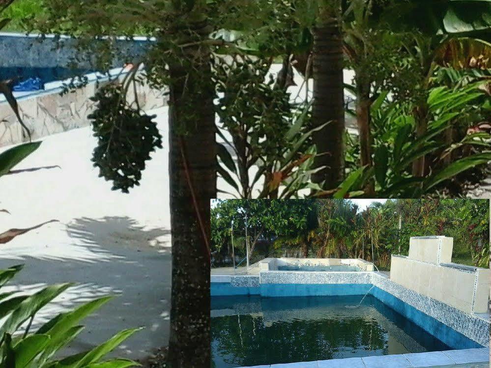 King Bed Hotel