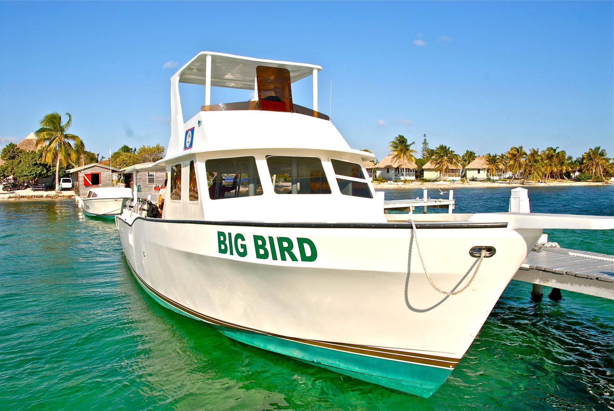 Blackbird Caye