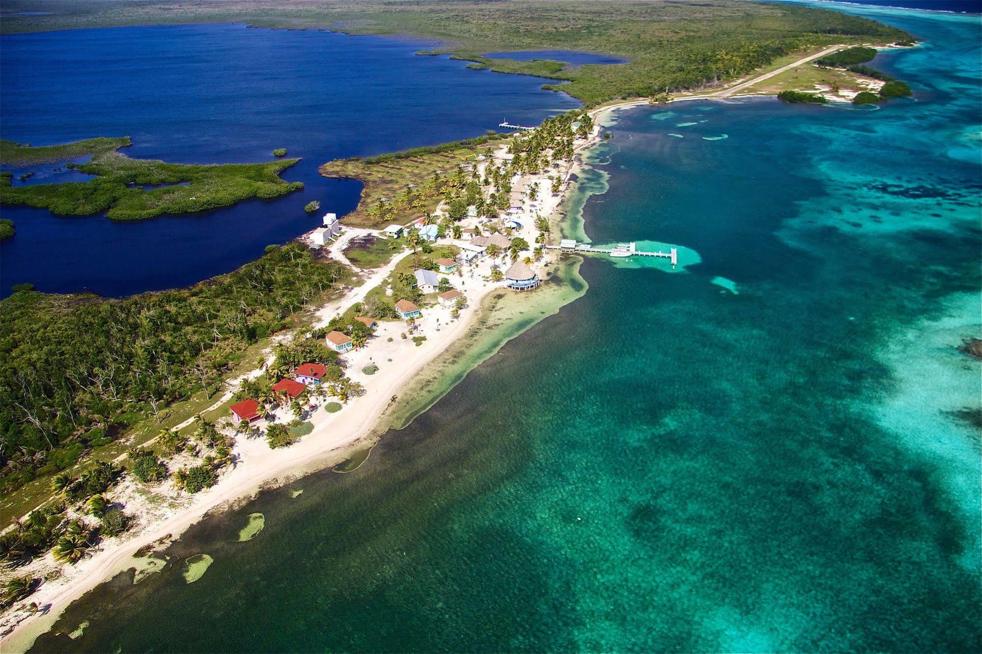 Blackbird Caye
