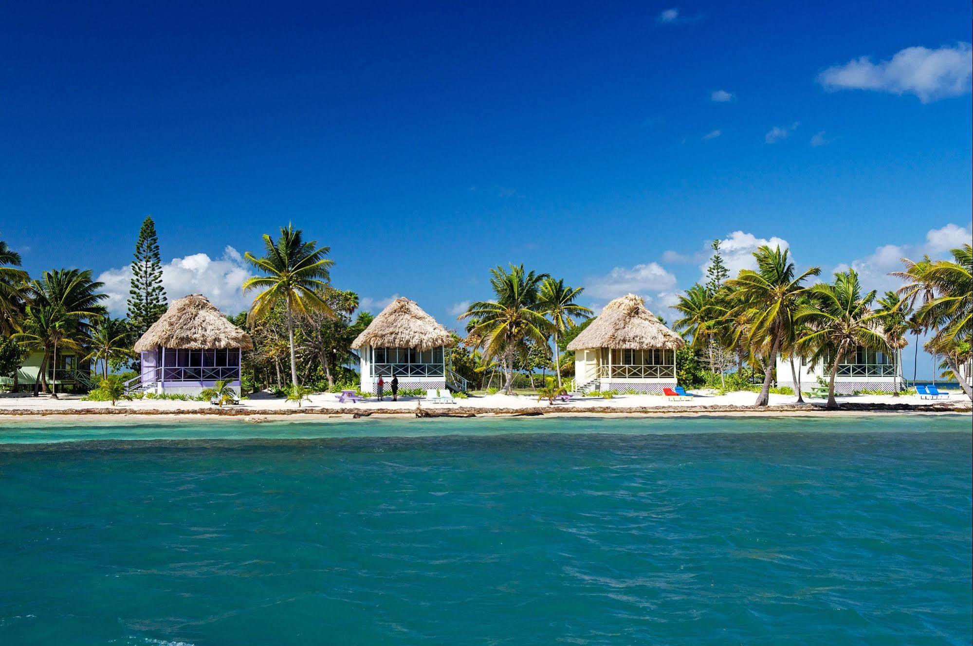 Blackbird Caye