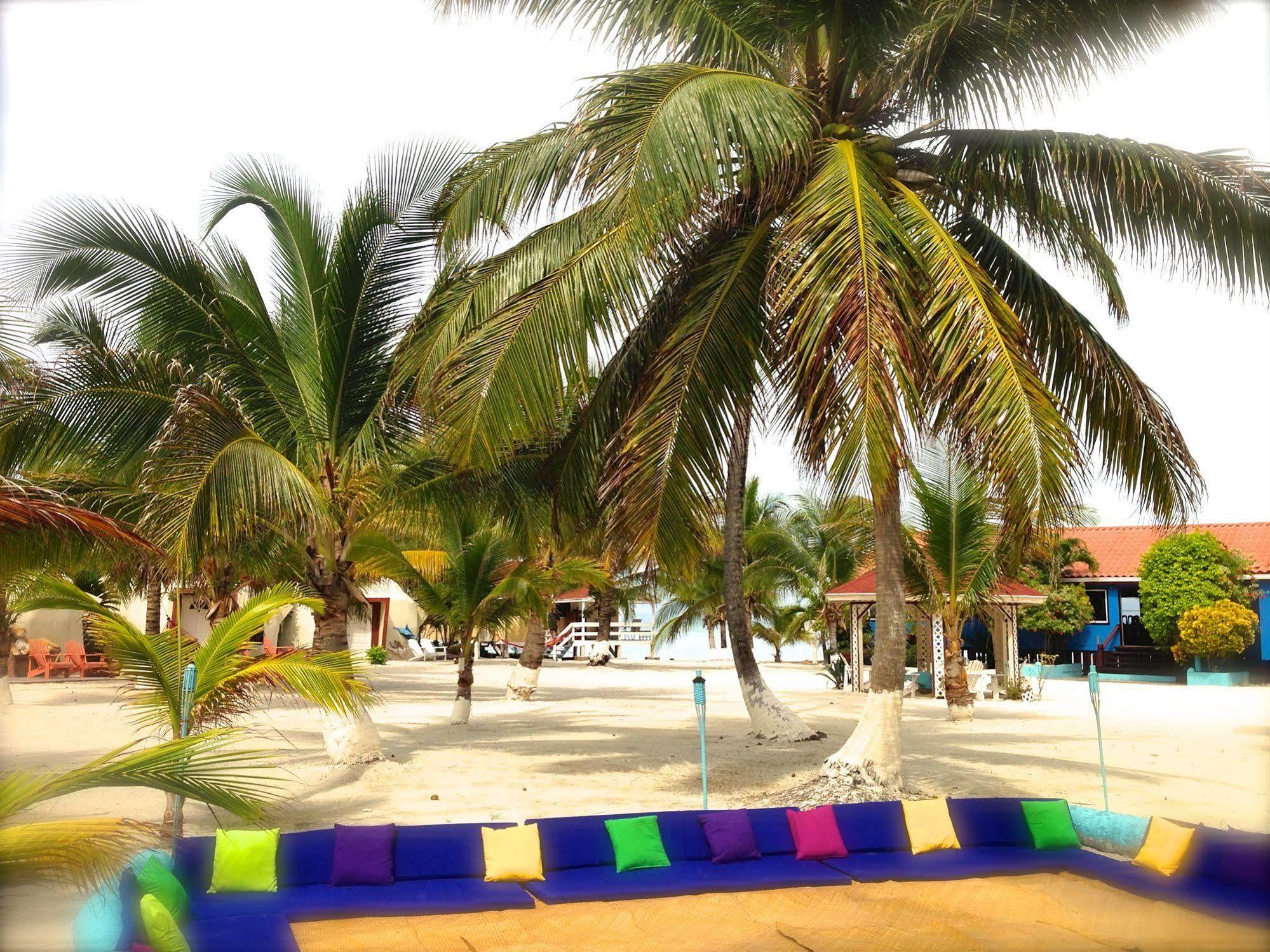 Resort Blue Marlin