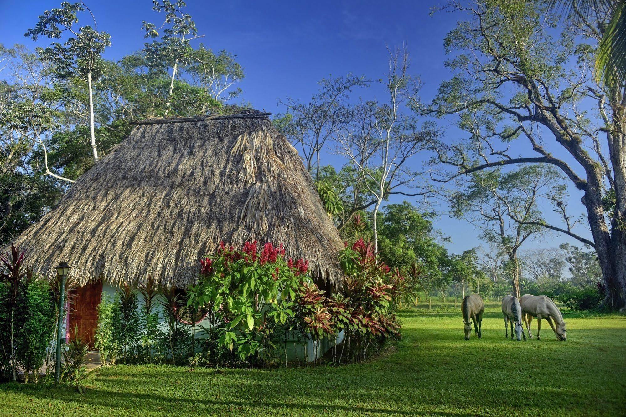 Lodge Banana Bank & Jungle Horseback Adventures *