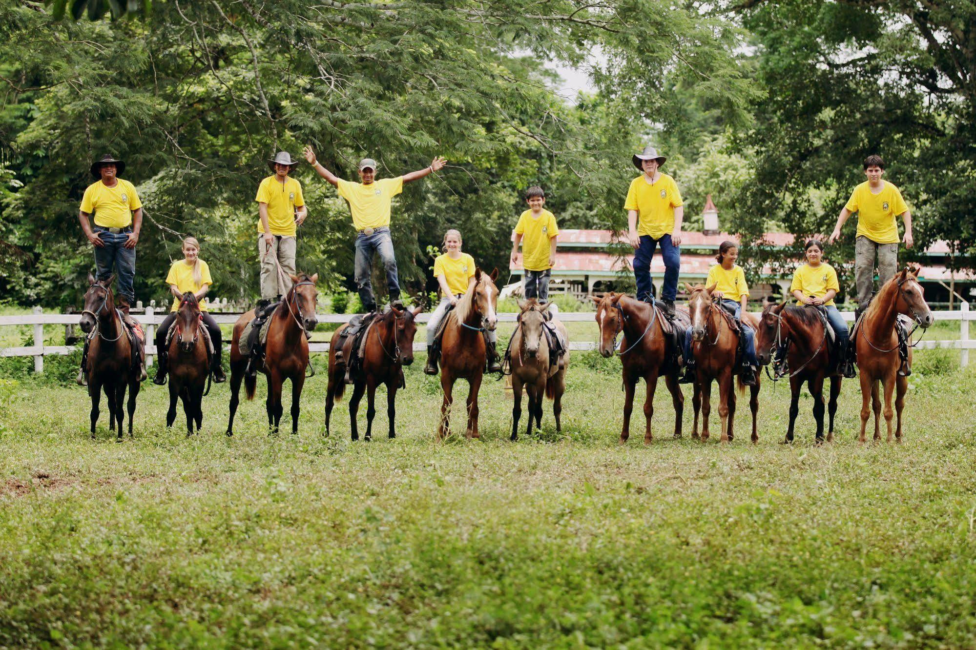 Banana Bank & Jungle Horseback Adventures Lodge