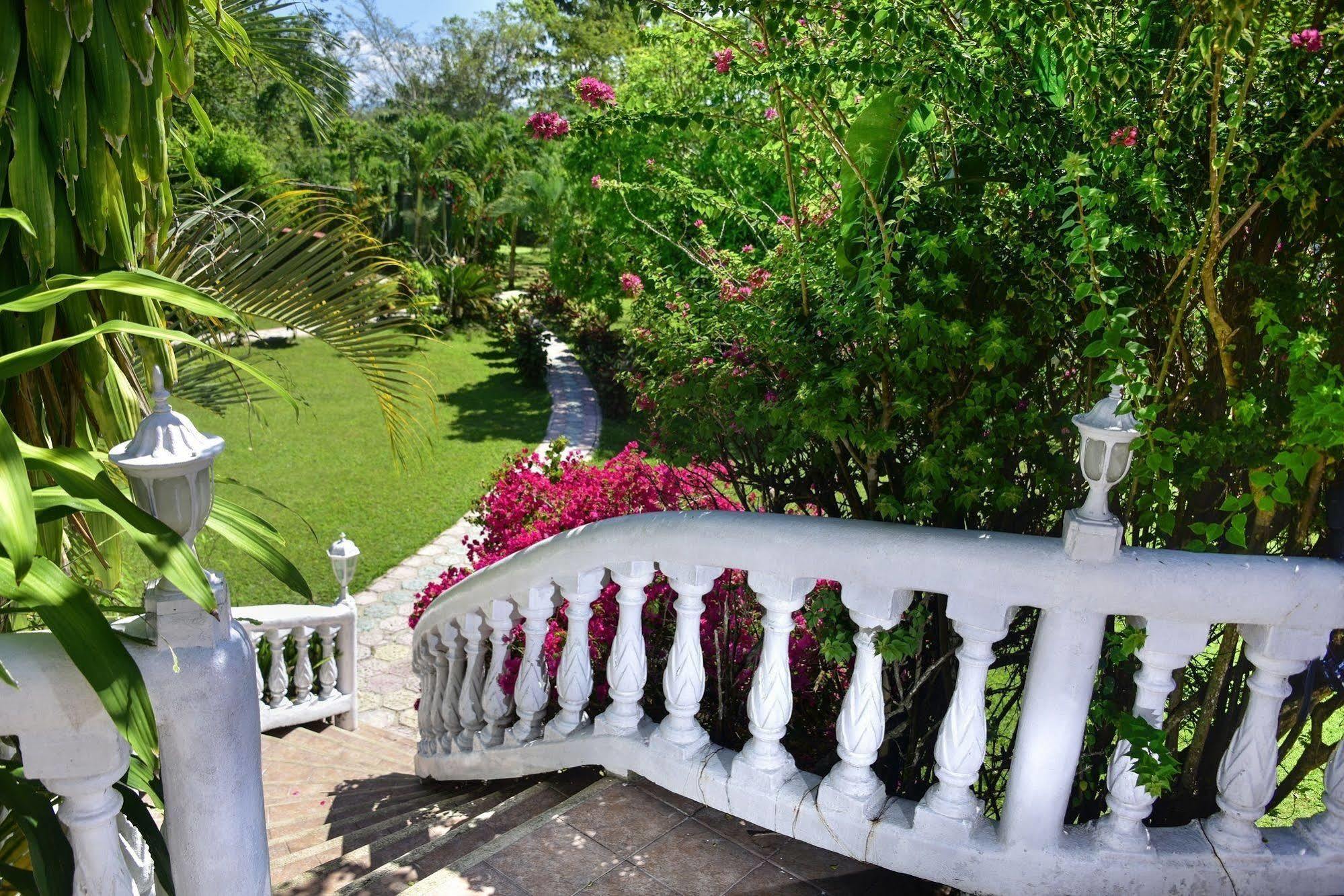 Lodge Banana Bank & Jungle Horseback Adventures Belmopan