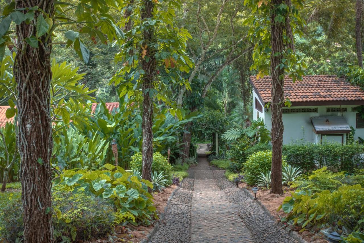 Sweet Songs Jungle Lodge San Ignacio