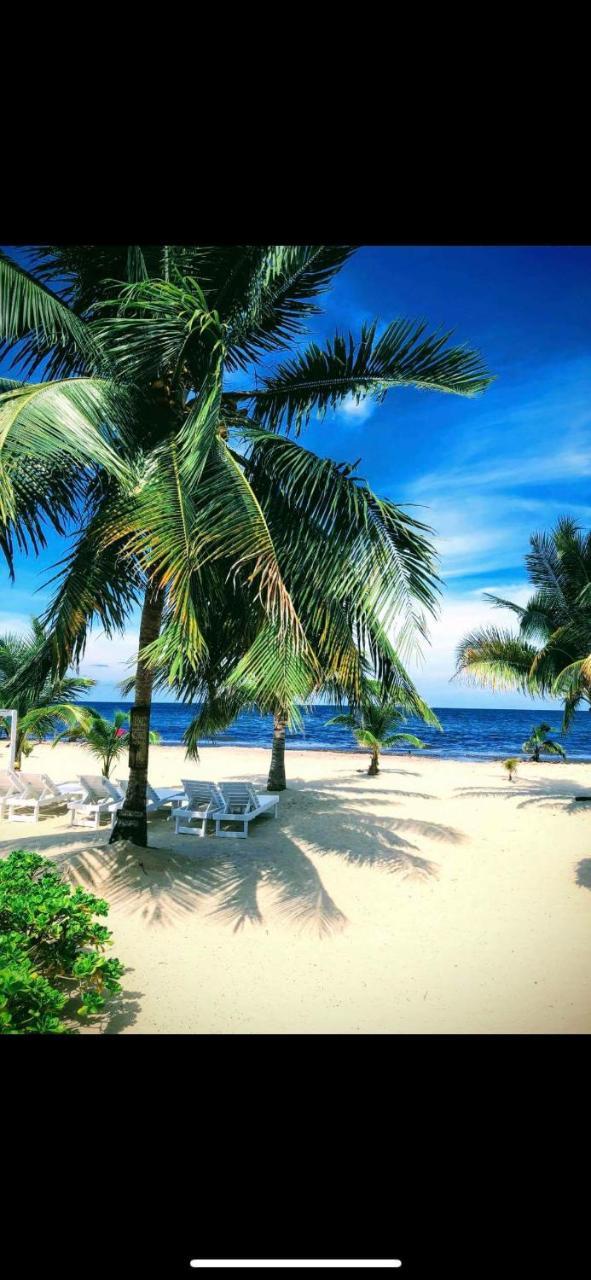 Lodge Caribbean *