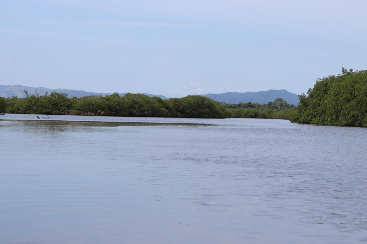 Bed & Breakfast Palmento Grove Garifuna Eco-cultural & Healing Institute
