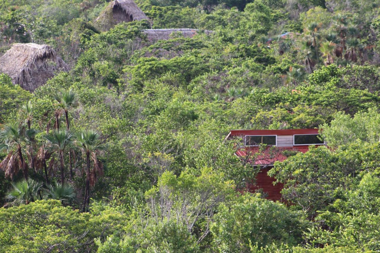 Bed & Breakfast Palmento Grove Garifuna Eco-cultural & Healing Institute 2*