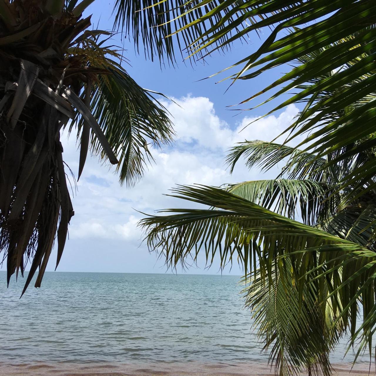 Jungle Jeanie's By The Sea Lodge Hopkins