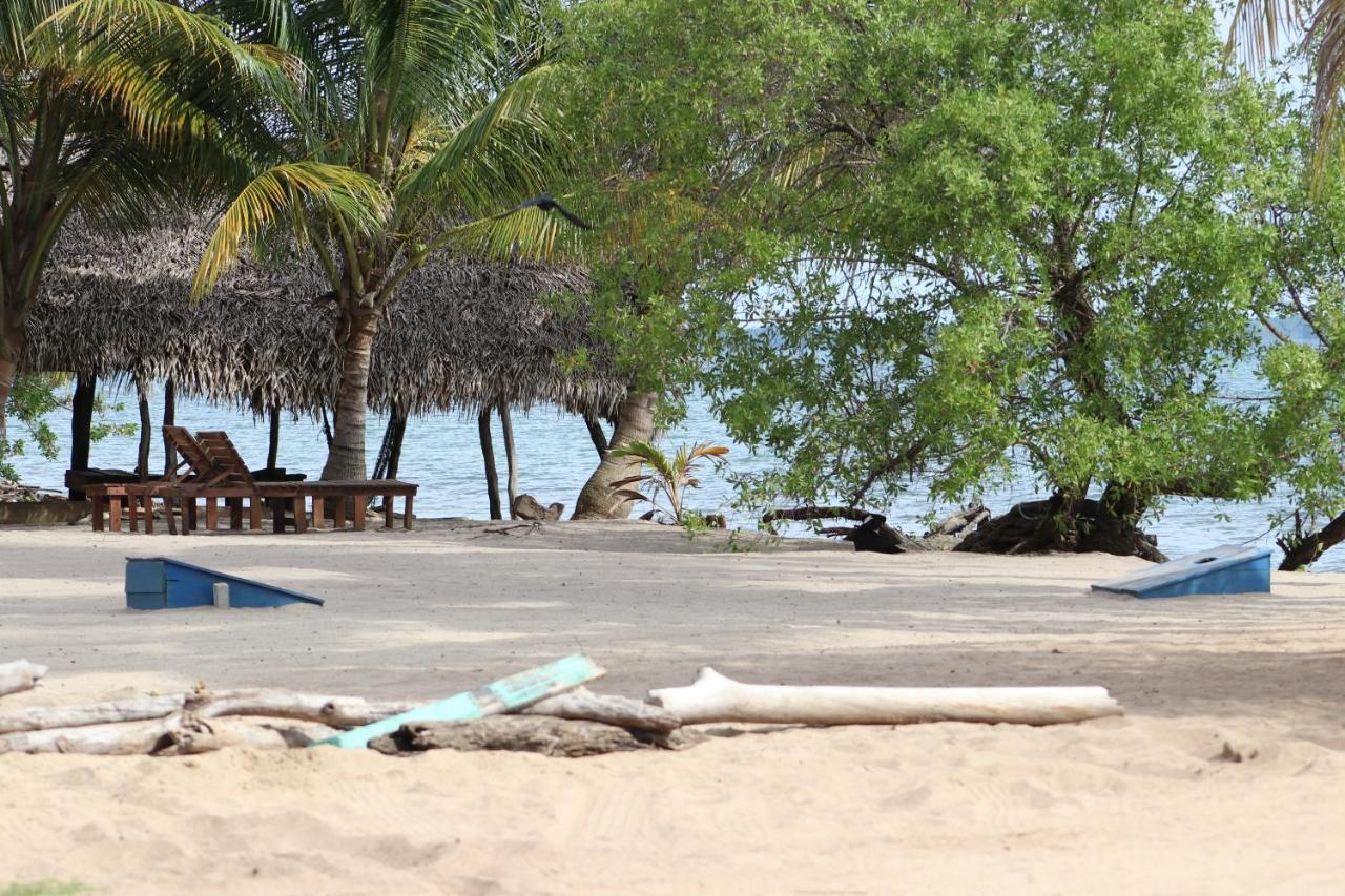 Palmento Grove Garifuna Eco-cultural & Healing Institute 2*