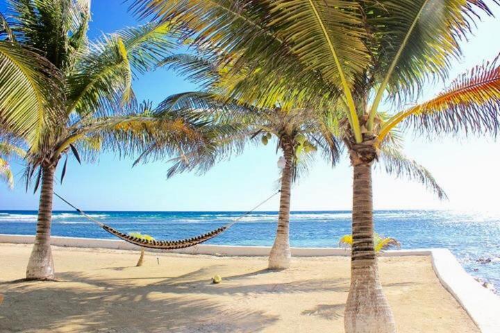 Resort Blue Marlin Dangriga