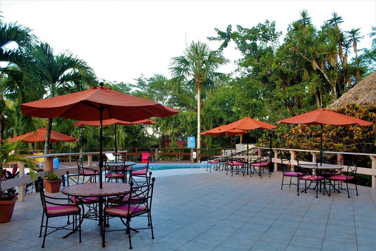 The Log Cab-inn San Ignacio