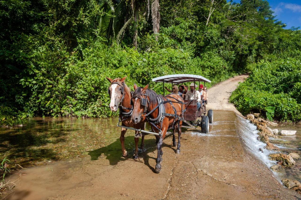 Sleeping Giant Rainforest Resort Belmopan