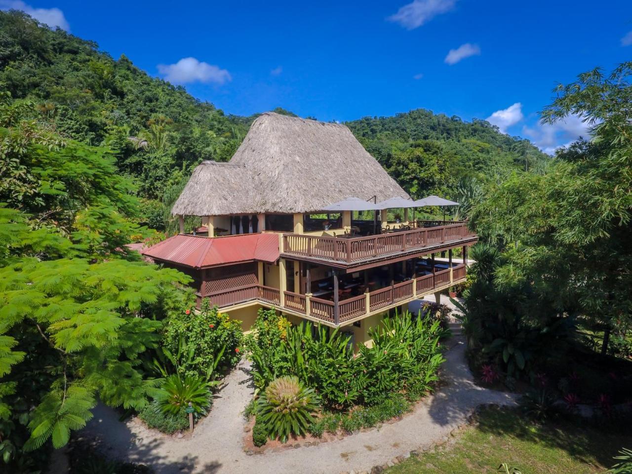 Resort Sleeping Giant Rainforest
