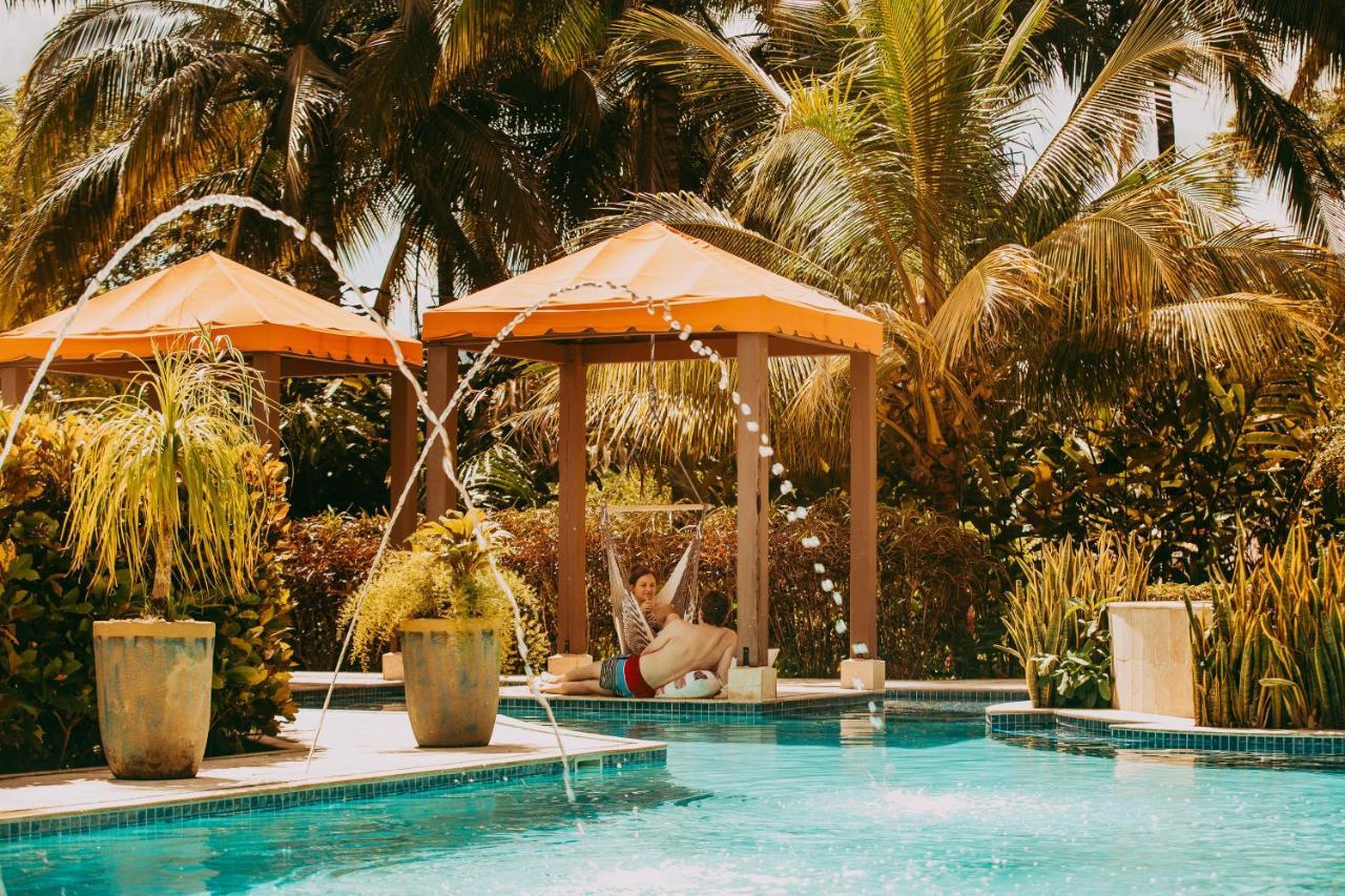 Sleeping Giant Rainforest Resort