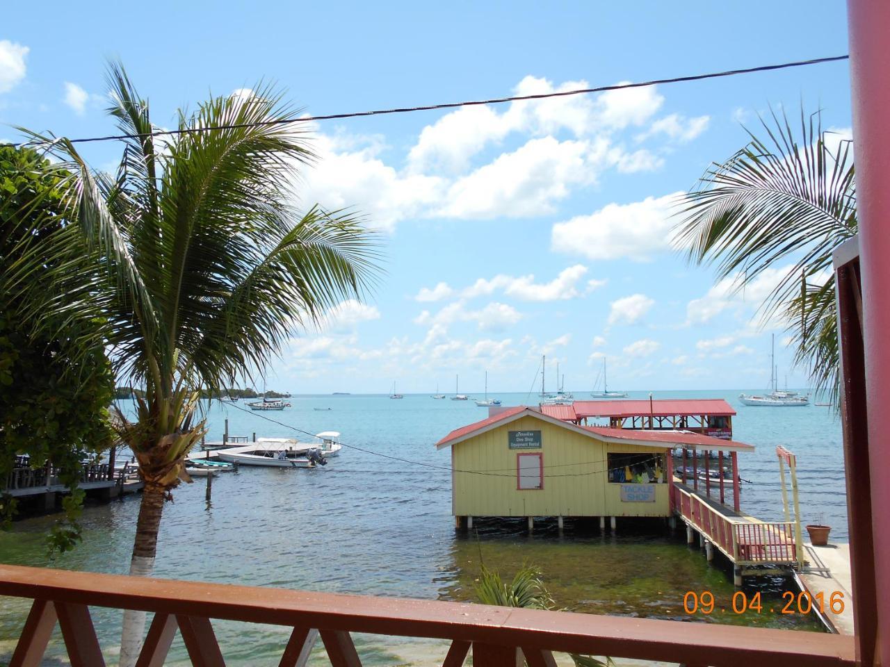 Alan's Paradise Placencia