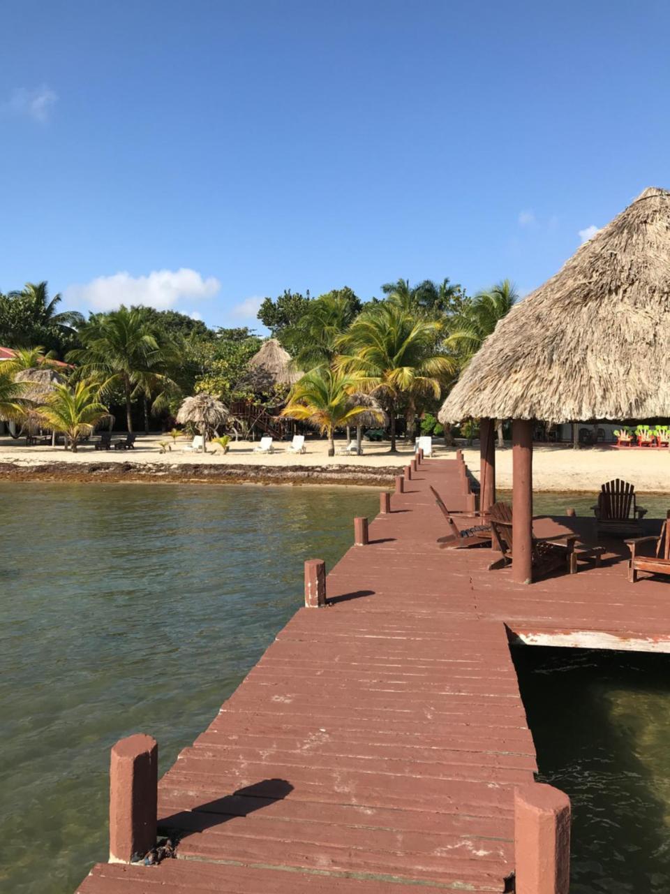 Lodge Green Parrot Beach Houses And Placencia