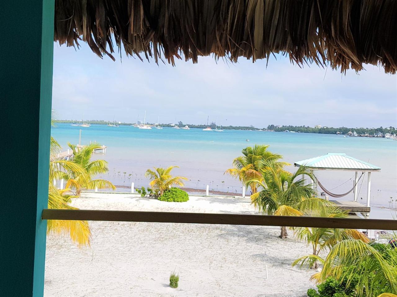 Slo-n-ez Terrace * Caye Caulker