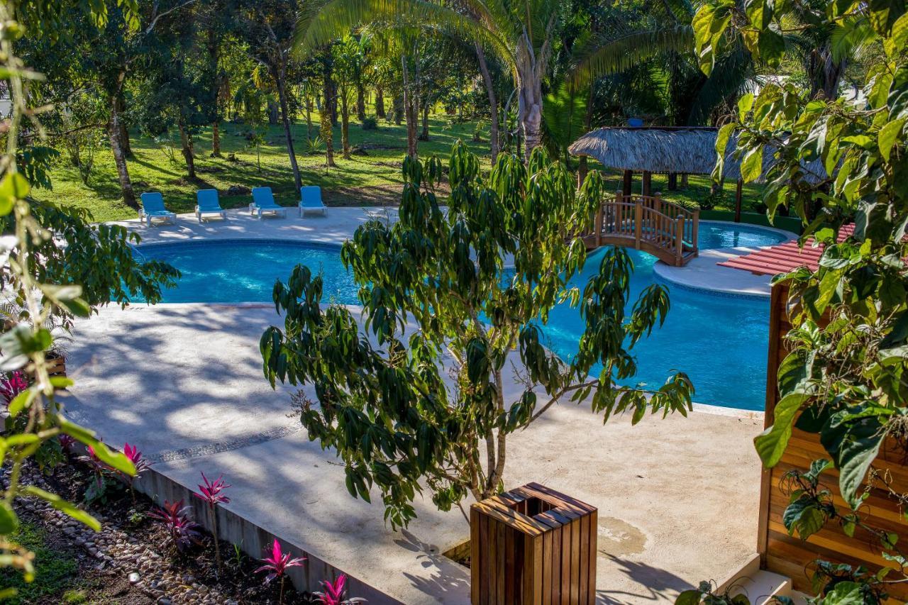 Kikiwitz Hotel 3*