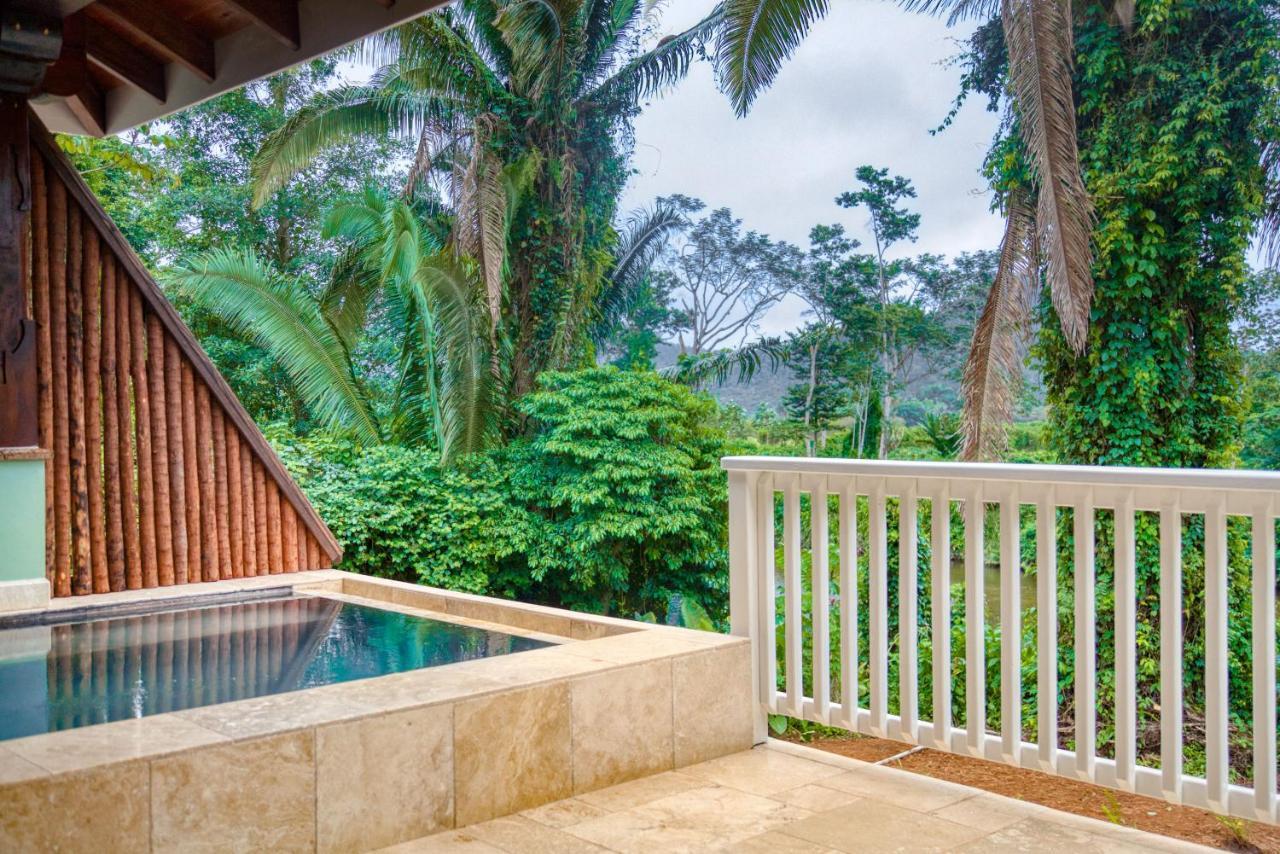 Sleeping Giant Rainforest