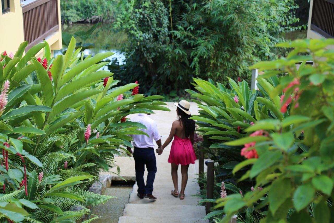 Sleeping Giant Rainforest Resort