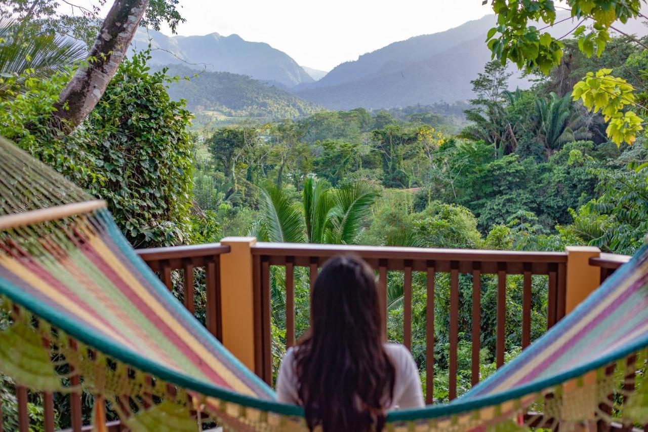 Sleeping Giant Rainforest Belmopan