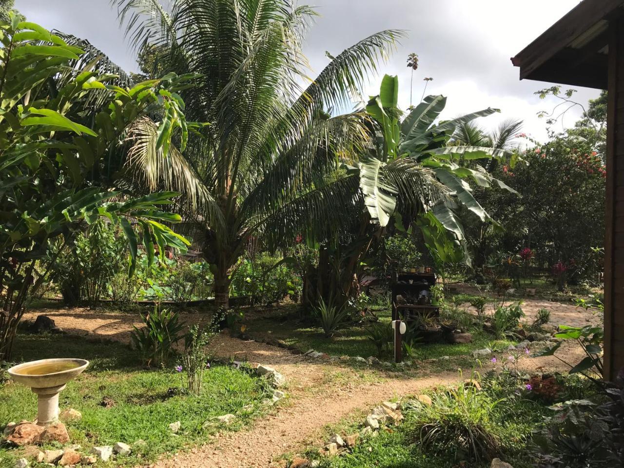 Sattva Land 3* Belmopan